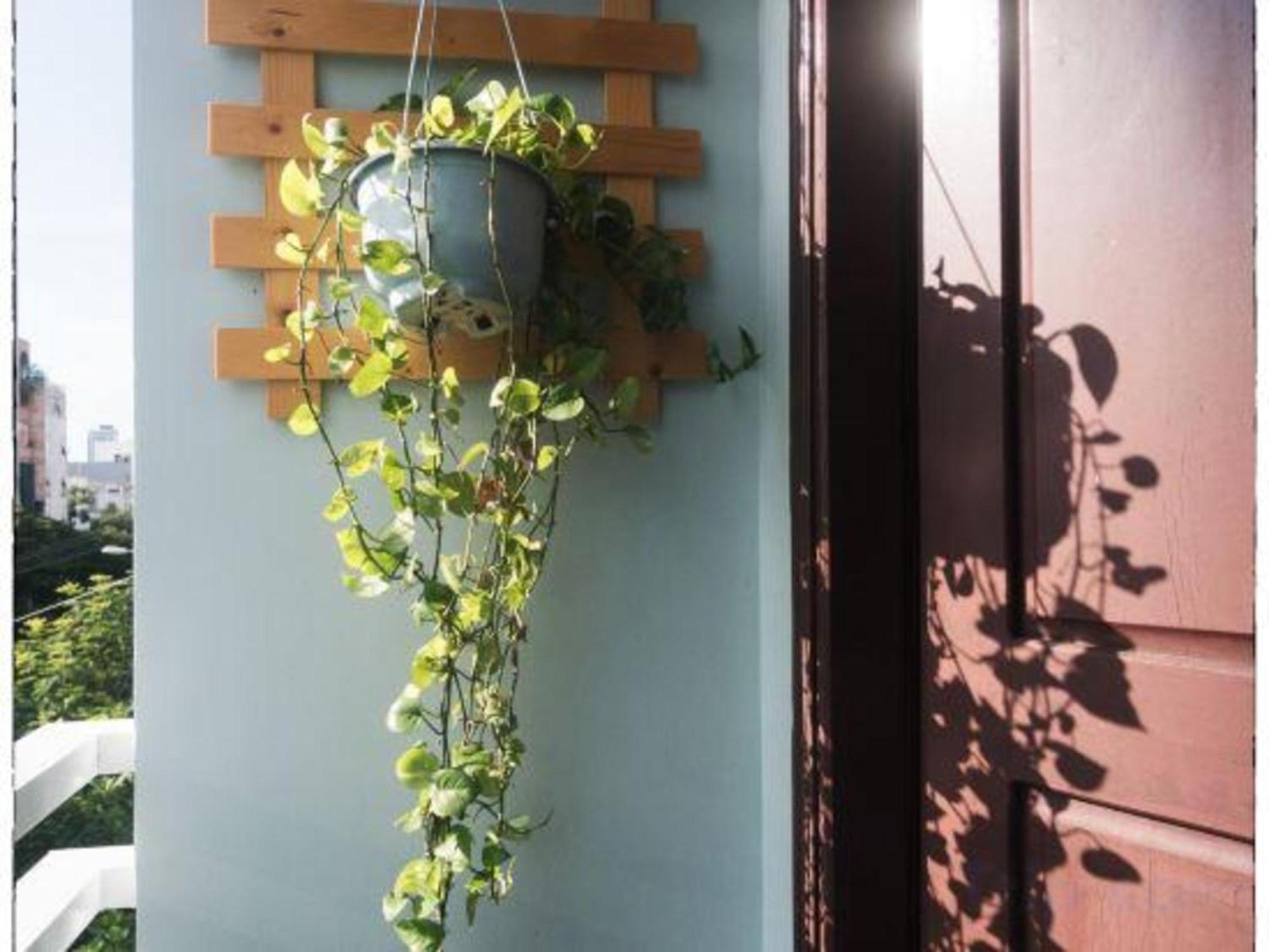 Oyo 1168 Elly'S Home 2 Đà Nẵng Exterior foto